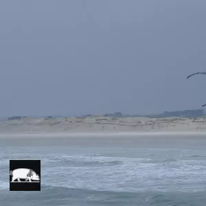La plage de la Torche en Bigoudénie.