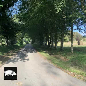 L'arrivée à la ferme du Gorré