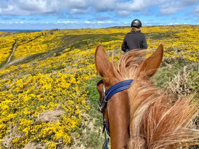 Club hippique (Plouhinec & Plovan)